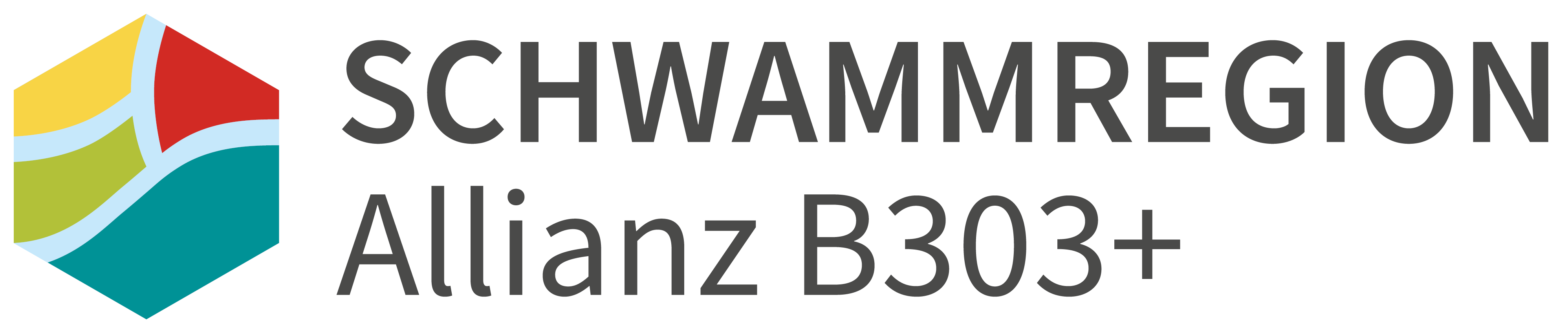Schwammregion Allianz B303+