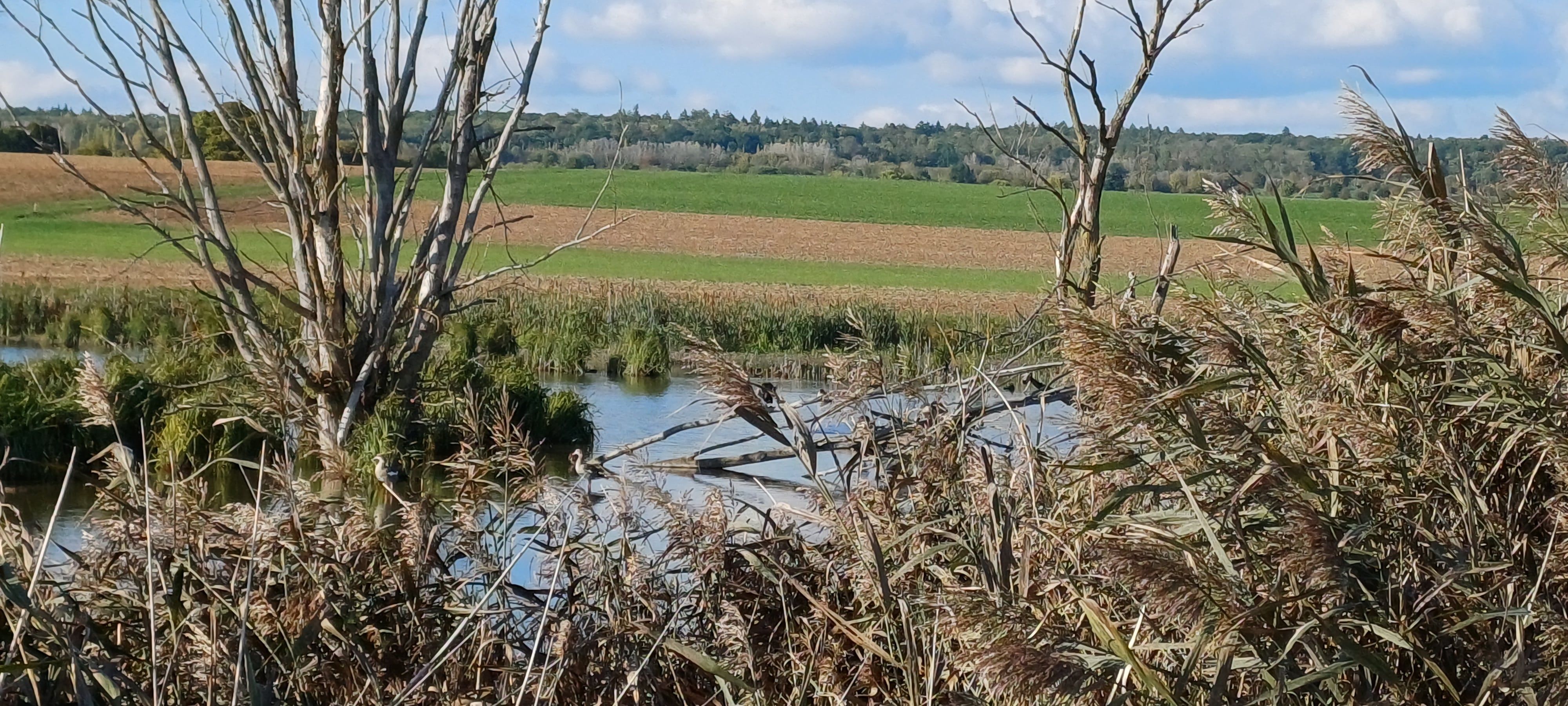Schwammregion Streu-Saale