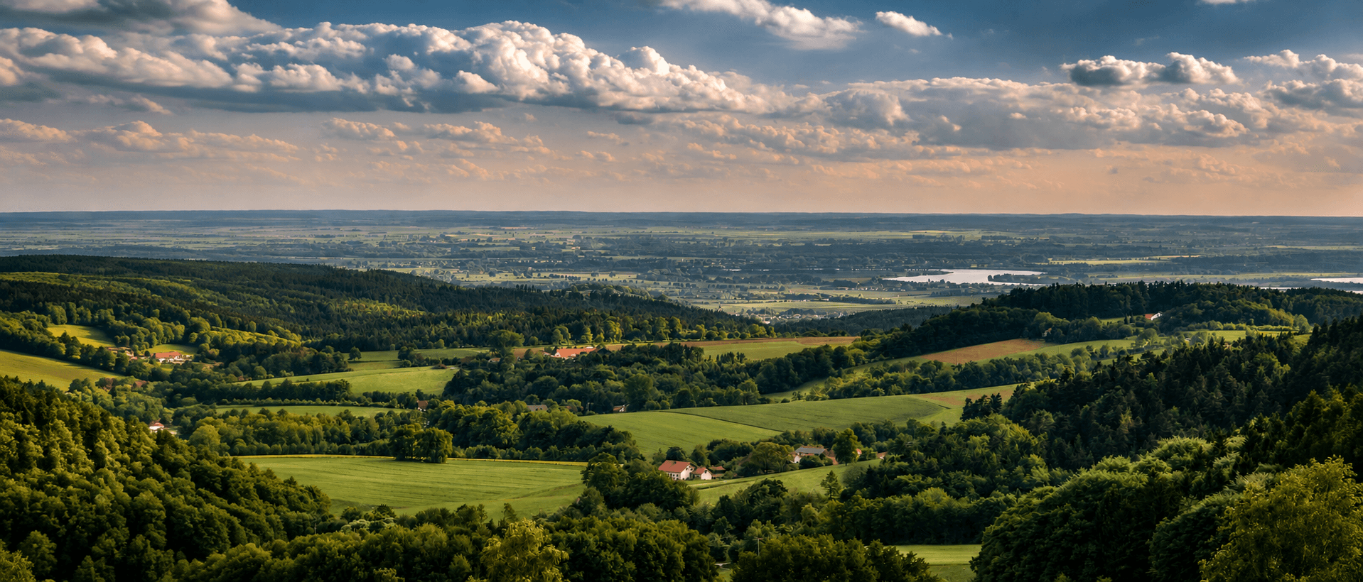 Schwammregion Vorderer Bayerischer Wald