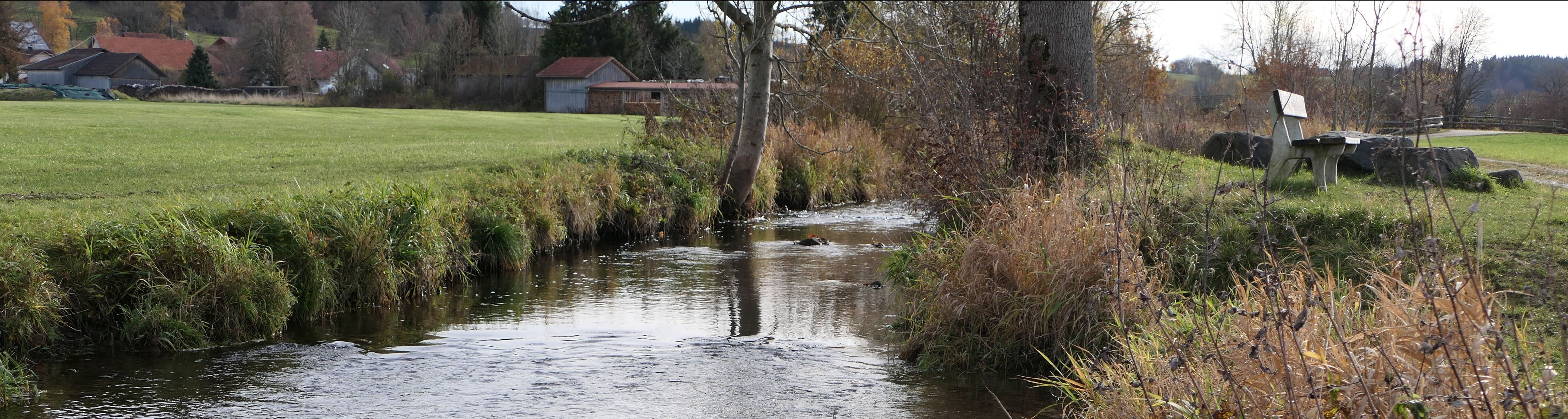 Schwammregion Gennach-Hühnerbach-Singold