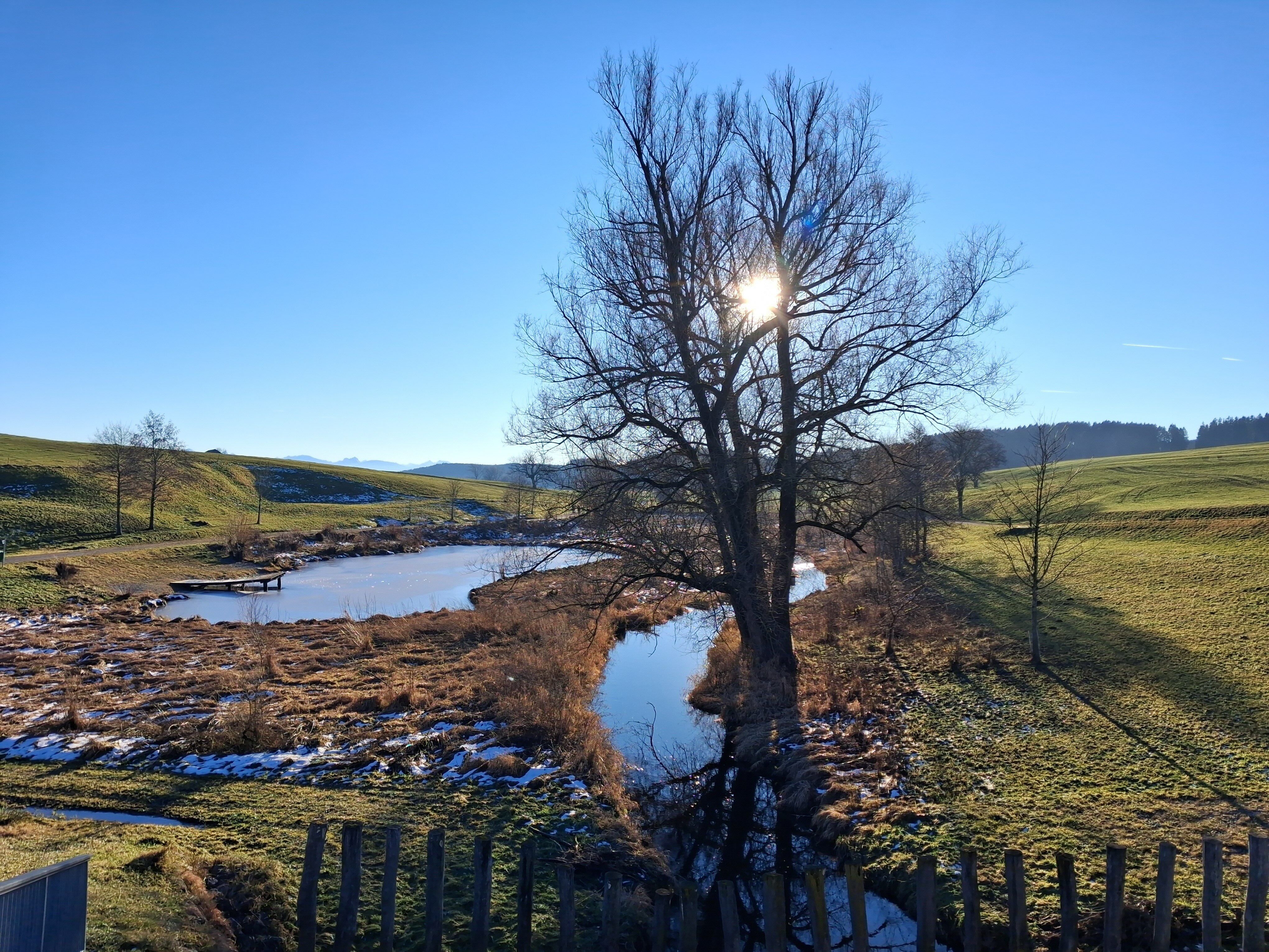 Landschaft mit kahlem Baum vor der Sonne, einem kleinen Fluss und grünen Wiesen unter blauem Himmel