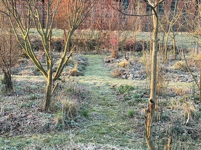 Weg durch eine frostbedeckte Gartenlandschaft mit kahlen Bäumen und Sträuchern.