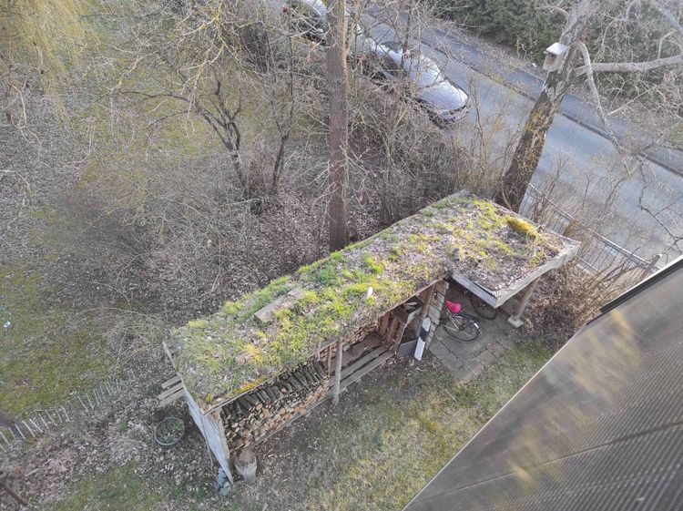 Dach eines Schuppens mit unregelmäßiger Begrünung aus Moos und Gras neben einem Weg.